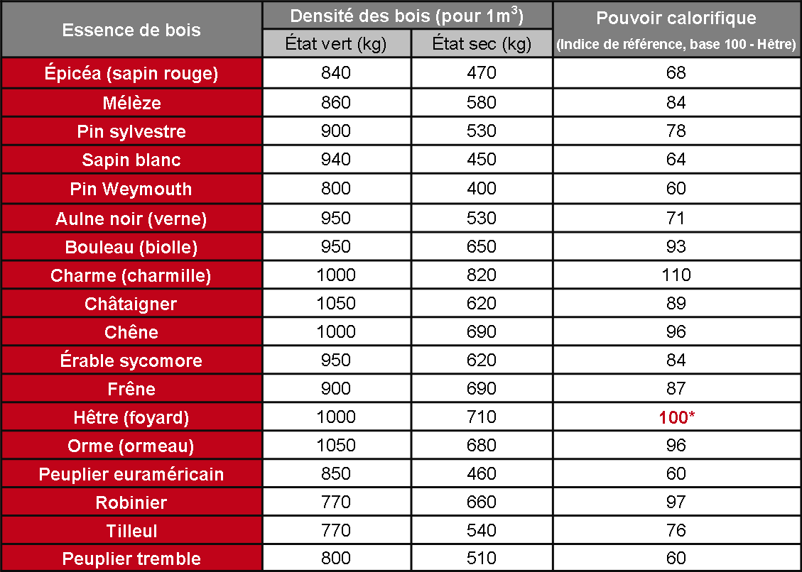 Faire du feu en survie le guide complet pour débuter
