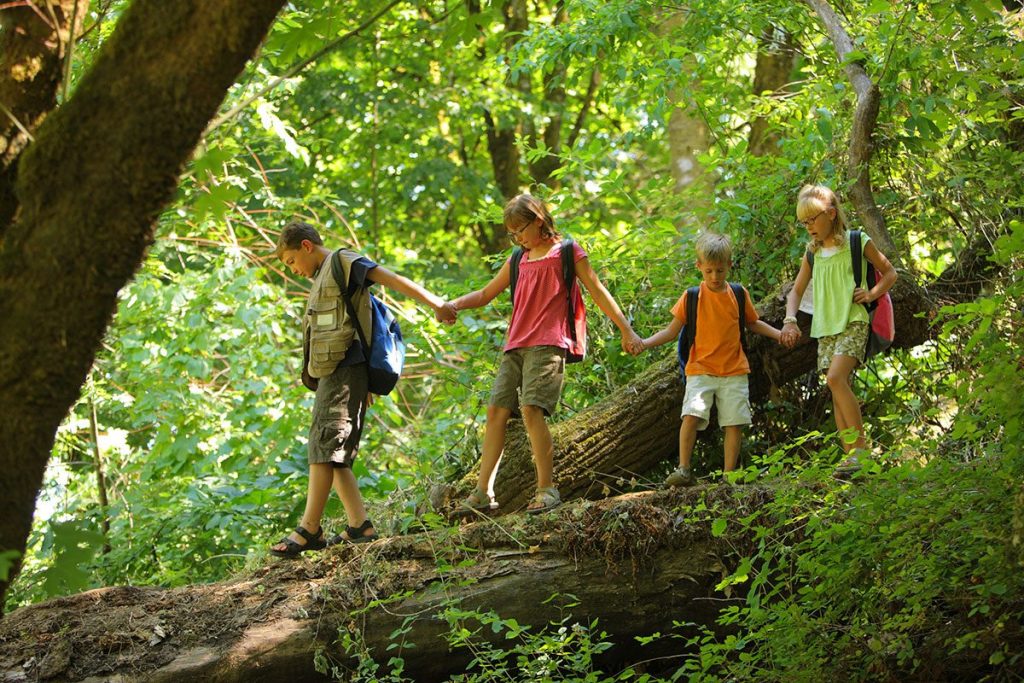 Un cadeau pour explorer la nature avec le Kit d'observation